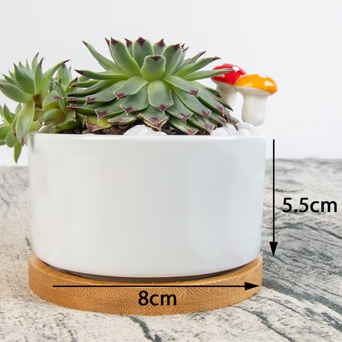 Heavenly Single Side Printing Flowerpot