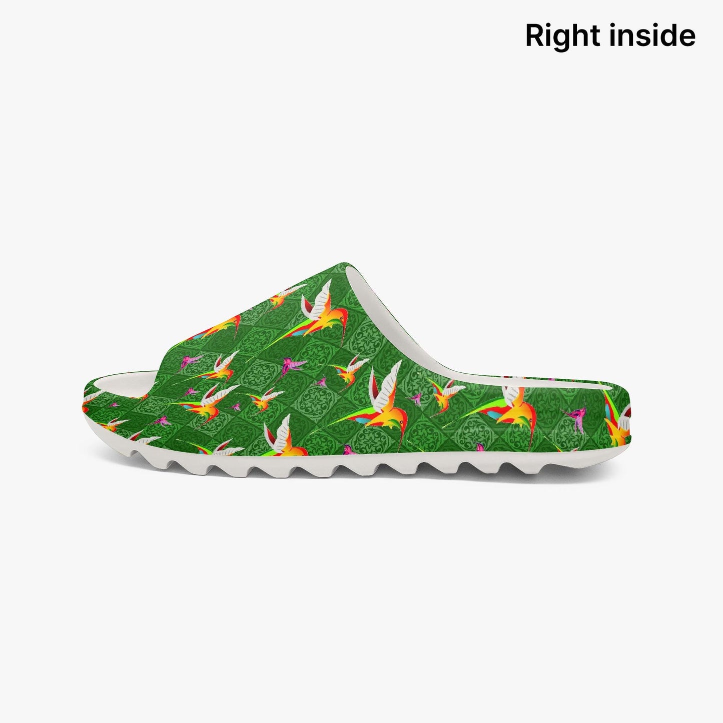 Humming Birds In Green AOP Slides