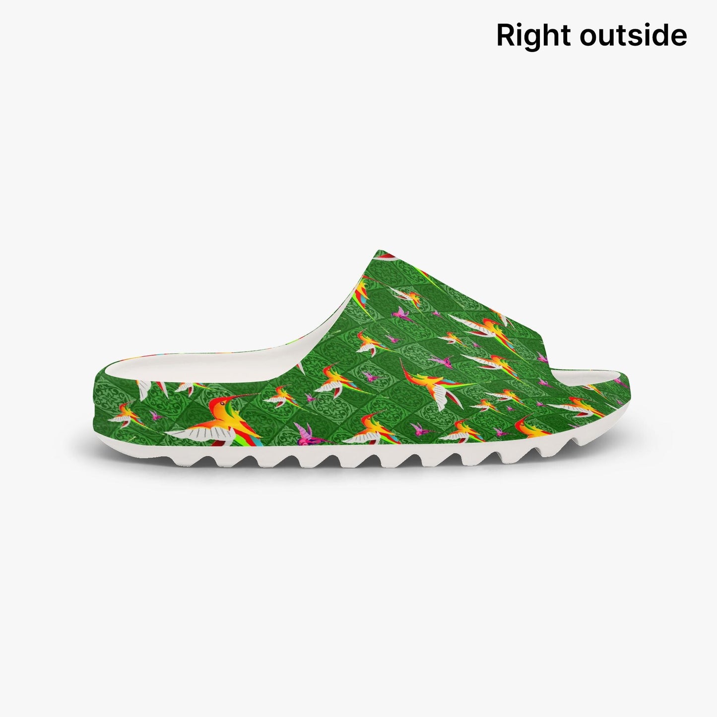 Humming Birds In Green AOP Slides